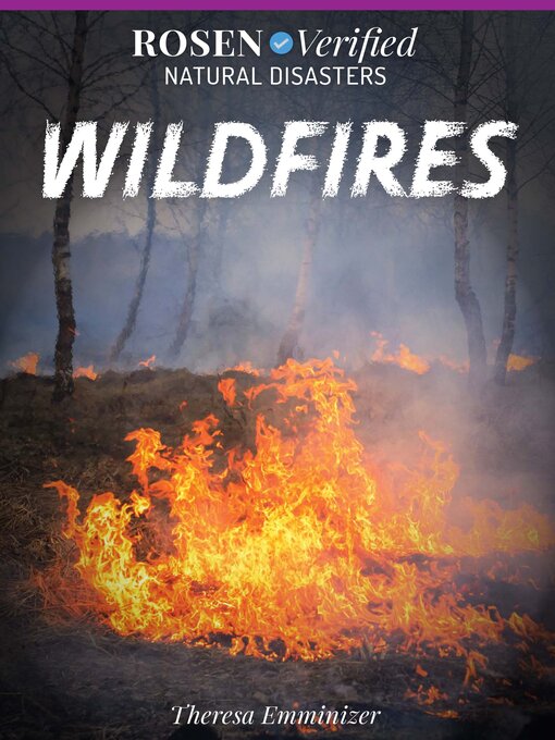 Title details for Wildfires by Theresa Emminizer - Available